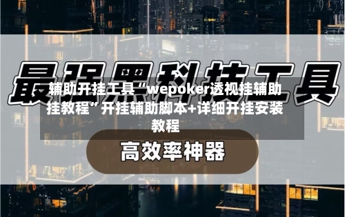 辅助开挂工具“wepoker透视挂辅助挂教程	”开挂辅助脚本+详细开挂安装教程-第2张图片