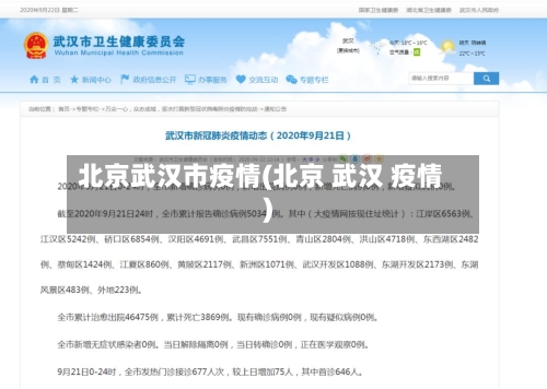 北京武汉市疫情(北京 武汉 疫情)-第2张图片