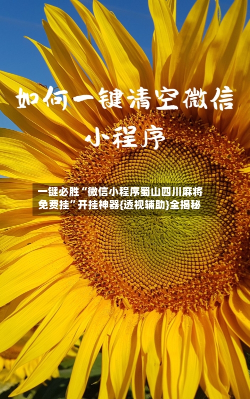 一键必胜“微信小程序蜀山四川麻将免费挂”开挂神器{透视辅助}全揭秘-第2张图片