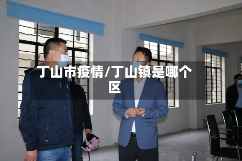 丁山市疫情/丁山镇是哪个区-第1张图片