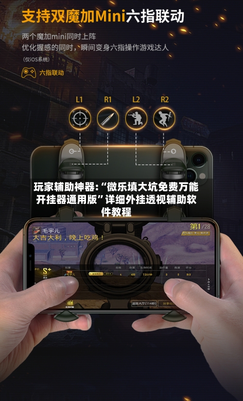 玩家辅助神器:“微乐填大坑免费万能开挂器通用版	”详细外挂透视辅助软件教程-第1张图片