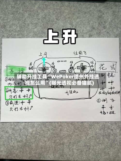 辅助开挂工具“WePoker德州外挂透视怎么用”(曝光透视必备猫腻)-第2张图片