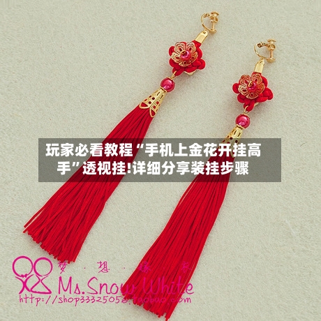 玩家必看教程“手机上金花开挂高手	”透视挂!详细分享装挂步骤-第1张图片