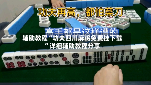 辅助教程“功夫四川麻将免费挂下载”详细辅助教程分享-第3张图片