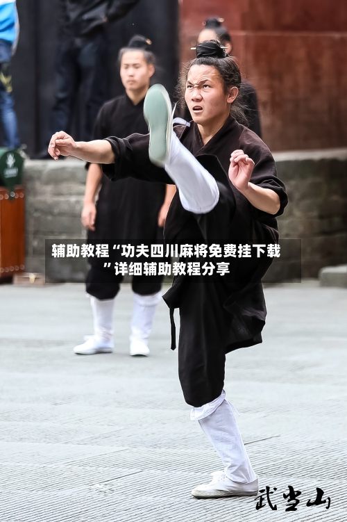 辅助教程“功夫四川麻将免费挂下载”详细辅助教程分享-第1张图片