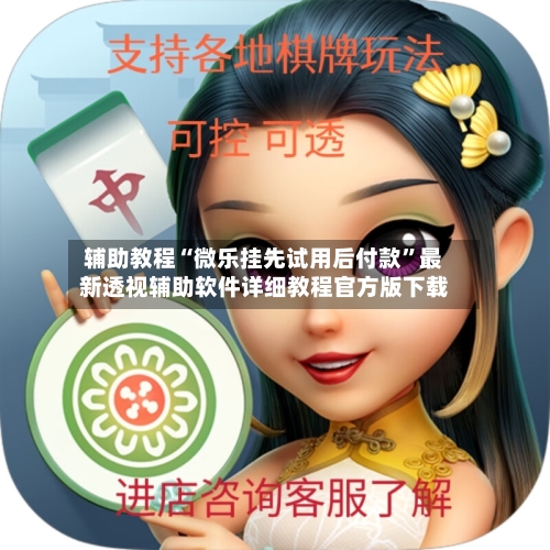 辅助教程“微乐挂先试用后付款”最新透视辅助软件详细教程官方版下载-第3张图片