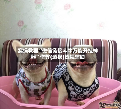 实操教程“微信链接斗牛万能开挂神器”作弊(透视)透视辅助-第3张图片