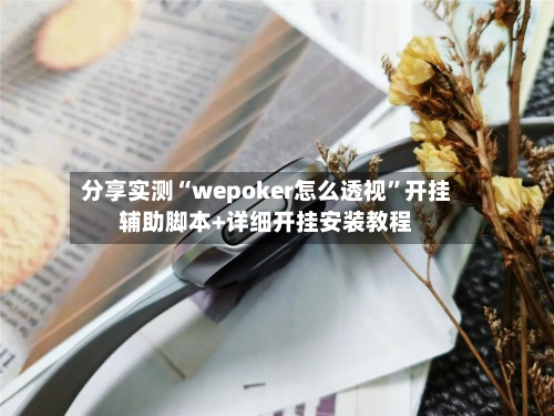 分享实测“wepoker怎么透视”开挂辅助脚本+详细开挂安装教程-第2张图片