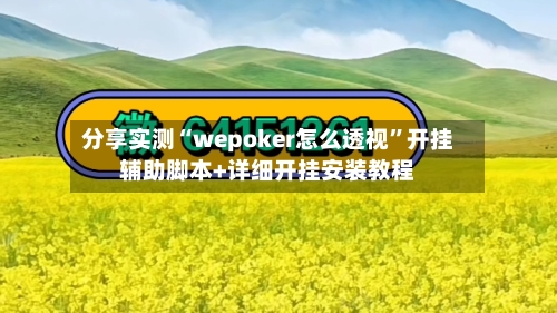 分享实测“wepoker怎么透视”开挂辅助脚本+详细开挂安装教程-第3张图片