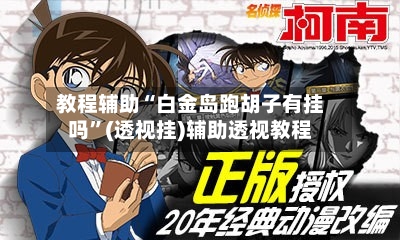 教程辅助“白金岛跑胡子有挂吗	”(透视挂)辅助透视教程-第2张图片