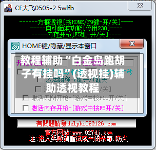 教程辅助“白金岛跑胡子有挂吗”(透视挂)辅助透视教程-第3张图片