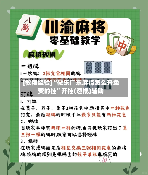 [教程经验]“微乐广东麻将怎么开免费的挂”开挂(透视)辅助-第3张图片