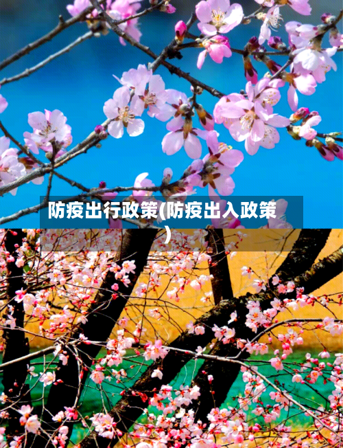 防疫出行政策(防疫出入政策)-第2张图片