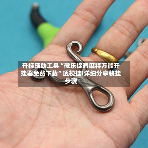 开挂辅助工具“微乐捉鸡麻将万能开挂器免费下载”透视挂!详细分享装挂步骤-第2张图片